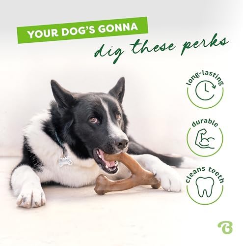 Benebone 3-Pack Wishbone Dog Chew Toy - Image 3