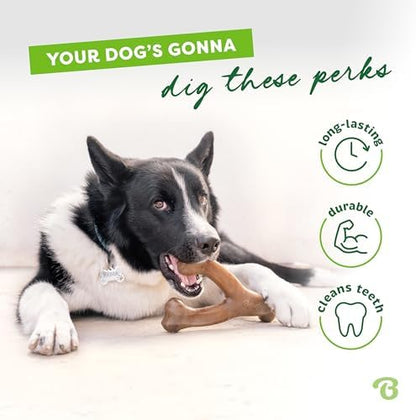 Benebone 3-Pack Wishbone Dog Chew Toy - Image 3