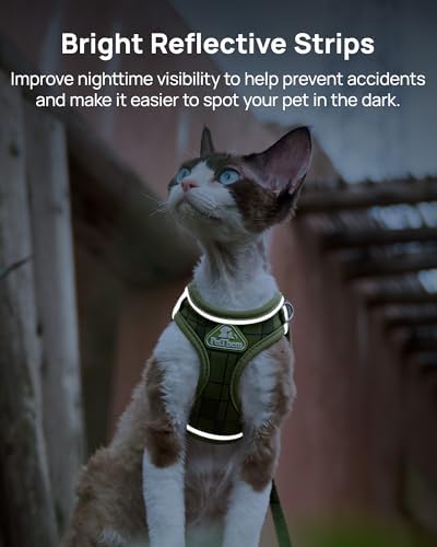 PetThem Upgraded Cat Harness and Leash Set - Image 5