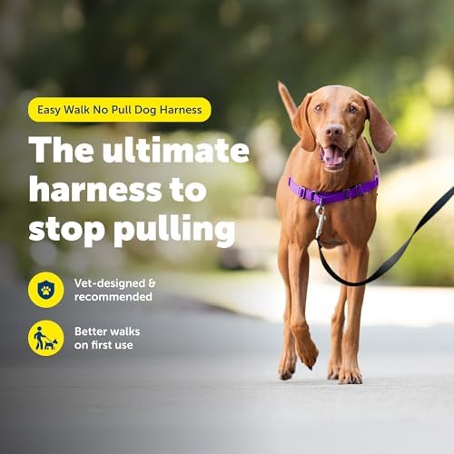 PetSafe Easy Walk Harness, No Pull Dog Harness, Deep Purple - Image 3