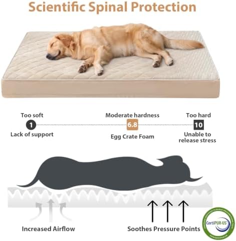WNPETHOME Orthopedic Waterproof XL Dog Bed - Image 3