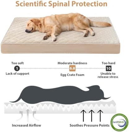WNPETHOME Orthopedic XXL Dog Beds - Image 3