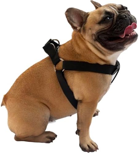 Dog Harness Easy to Use 2 Step Secure Safe Comfortable Firm No Struggle Pull - Image 3
