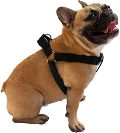 Dog Harness Easy to Use 2 Step Secure Safe Comfortable Firm No Struggle Pull - Image 3