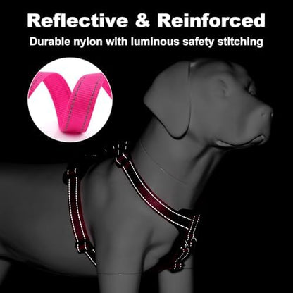 Plutus Pet No Pull Dog Harness - Image 4