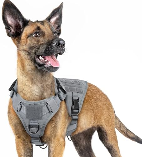 rabbitgoo Tactical Dog Harness for Small, Heavy Duty Military No Pull Vest by rabbitgoo