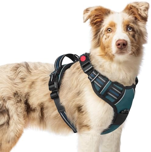 rabbitgoo Dog Harness Medium Sized, Updated Easy On & Off by rabbitgoo
