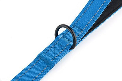 Primal Pet Gear Dog Leash 6ft Long, Traffic Padded Two Handle, Heavy Duty - Image 6