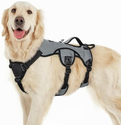 rabbitgoo Escape Proof Dog Harness by rabbitgoo
