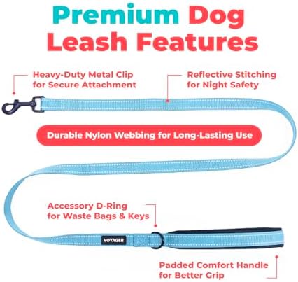 Best Pet Supplies Voyager Nylon Dog Leash - Image 2