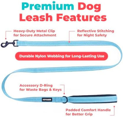 Best Pet Supplies Voyager Nylon Dog Leash - Image 2