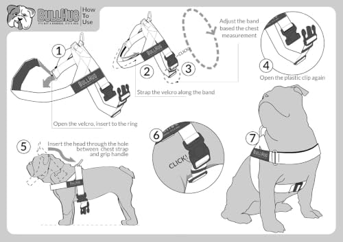 BULLHUG Adjustable Dog Harness– No Pull, No Choke – - Image 5
