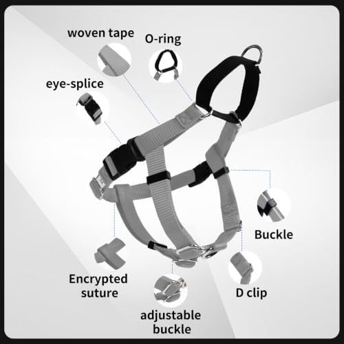 Freedom No Pull Dog Harness - Image 4