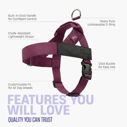Dog Friendly Co. Dog Harness for Large Dogs - Image 5