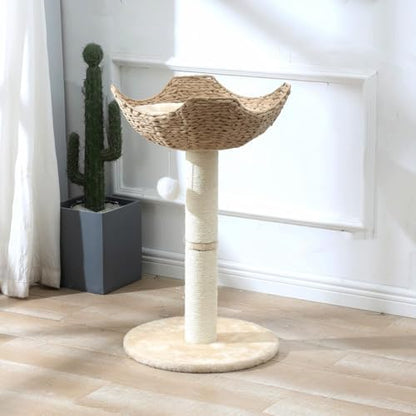 SHENGOCASE 2-Pack Small Cat Tree Tower - Image 2
