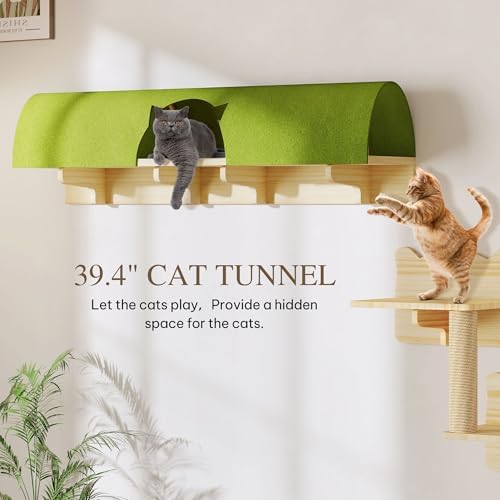 Cat Wall Shelves Set, 7-in-1 Cat Wall Furniture - Image 4