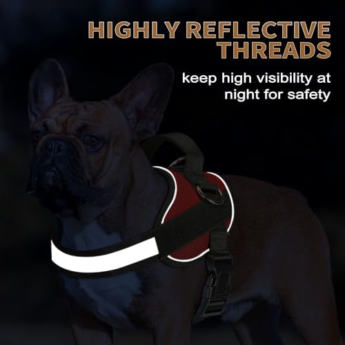 Haapaw Essential Dog Harness, No Pull Pet Vest - Image 4
