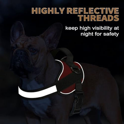 Haapaw Essential Dog Harness, No Pull Pet Vest - Image 4