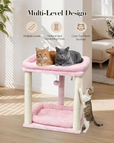 SYANDLVY Small Cat Tree for Indoor Cats - Image 5