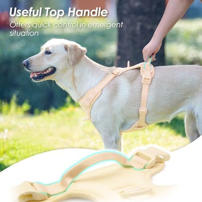 Sunraymascota No Pull Dog Harness - Image 4
