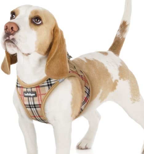 rabbitgoo Step-in Small Dog Harness, Puppy Vest by rabbitgoo