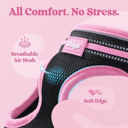rabbitgoo Cat Harness and Leash Set, Step-in Soft Vest - Image 7