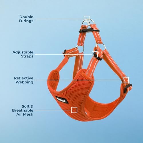 Voyager Step-in Flex Adjustable Dog Harness - Image 3