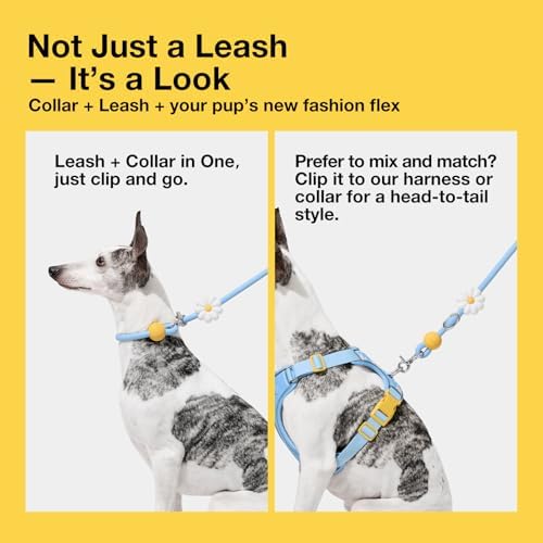 VETRESKA Hands-Free Dog Leash, 8FT Daisy Rope Leash - Image 6