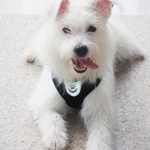 Hypeety Dog Vest Harness No-Pull Reflective Step-in Air Mesh Vest - Image 6