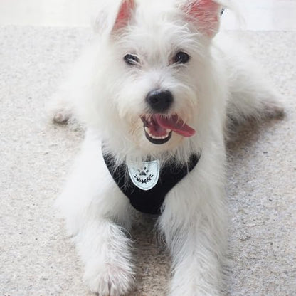 Hypeety Dog Vest Harness No-Pull Reflective Step-in Air Mesh Vest - Image 6