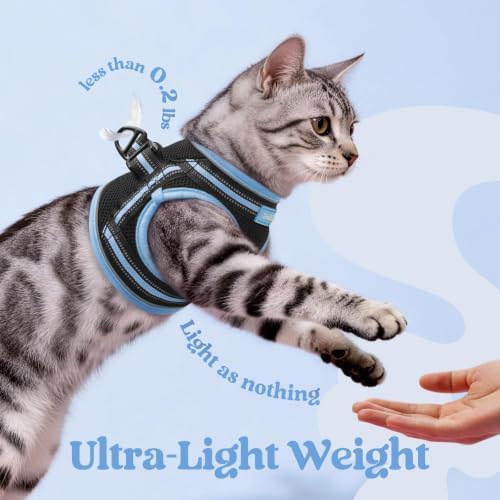 rabbitgoo Cat Harness and Leash Set, Step-in Soft Vest - Image 6