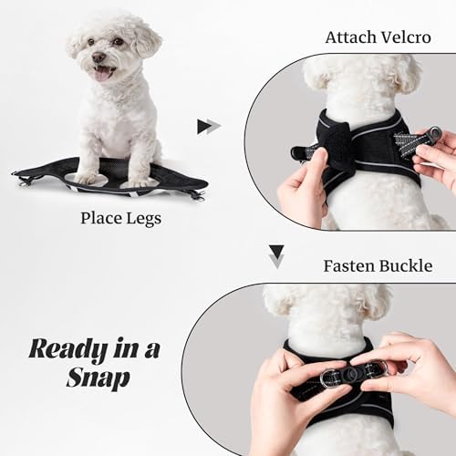No Pull Dog Puppy Harness and Leash Set Reflective Mesh Vest Small - Image 4