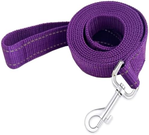 Reflective Dog Leash 4Ft /6 Feet Long, 3/4 Inch Wide, by TAIDA
