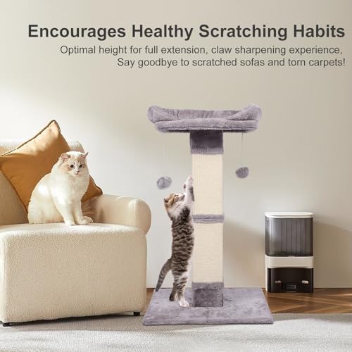 34" Tall Cat Scratching Post - Image 5