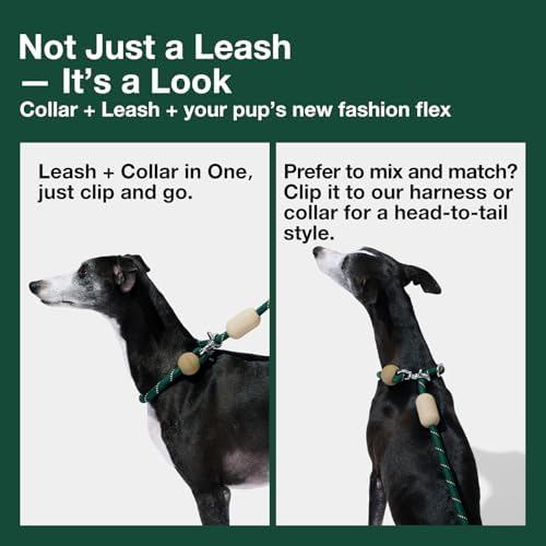 VETRESKA Hands-Free Dog Leash, 8FT Green Rope Leash - Image 6