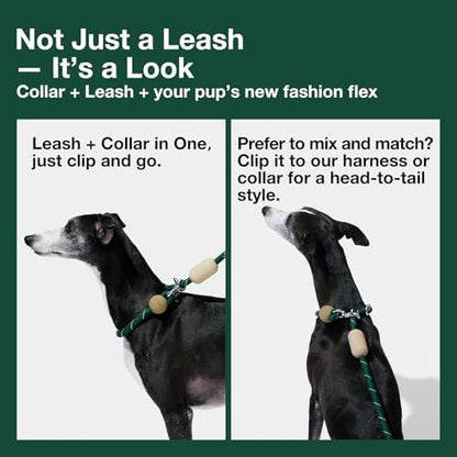 VETRESKA Hands-Free Dog Leash, 8FT Green Rope Leash - Image 6