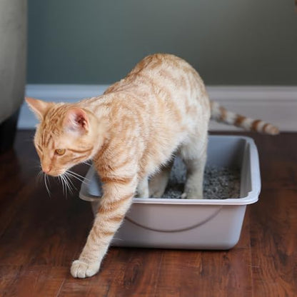 Petmate Basic Open Plastic Cat Litter Pan - Image 2