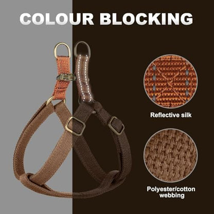 Didog Step in Dog Harnes for Small Dogs, Chest 14-22" - Image 3