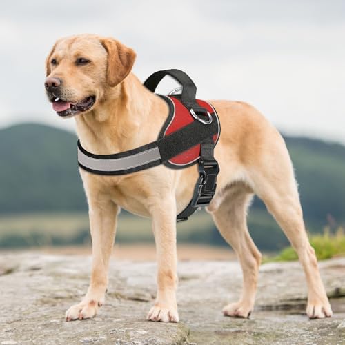 Haapaw Essential Dog Harness, No Pull Pet Vest - Image 3
