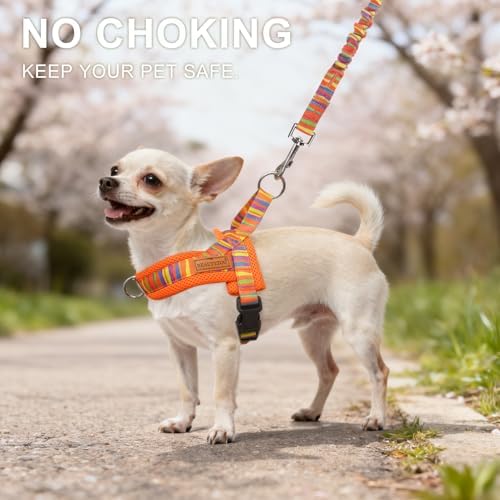 BEAUTYZOO Dog Harness Medium Sized and Leash Set, No Pull Step in Pet Vest - Image 2