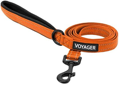 Best Pet Supplies Voyager Nylon Dog Leash by BestPetSuppliesLLC