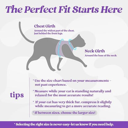 rabbitgoo Cat Harness and Leash Set, Step-in Soft Vest - Image 2