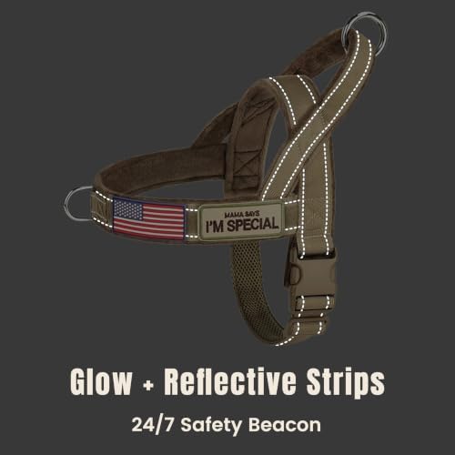 Forestpaw No Pull Dog Harness - Image 6