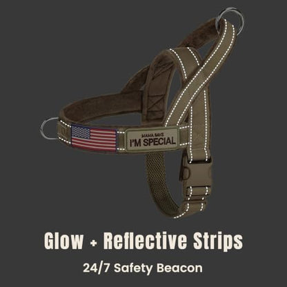 Forestpaw No Pull Dog Harness - Image 6