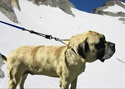 BUNGEE DOG LEASH EXTENSION – Patented Shock Absorber Attachment Protects You - Image 5