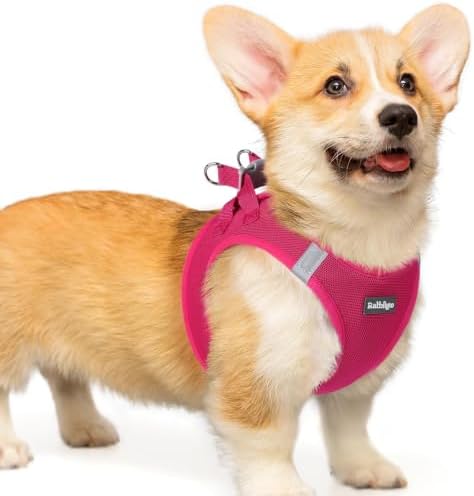 rabbitgoo Step-in Small Dog Harness, Puppy Vest by rabbitgoo