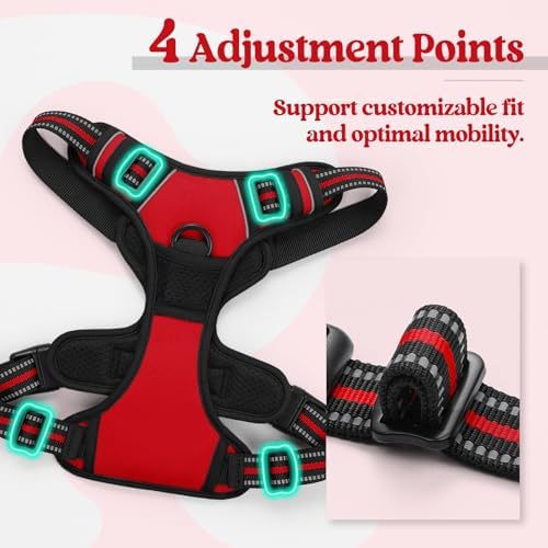 rabbitgoo Dog Harness, No Pull Medium Sized - Image 4