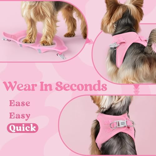 rabbitgoo Step-in Small Dog Harness, Puppy Vest - Image 6
