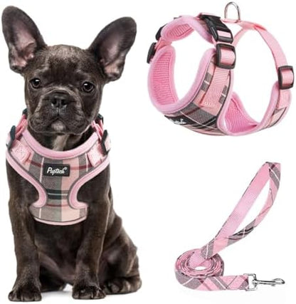 PUPTECK Small Dog Harness and Leash Set No Pull by PUPTECK