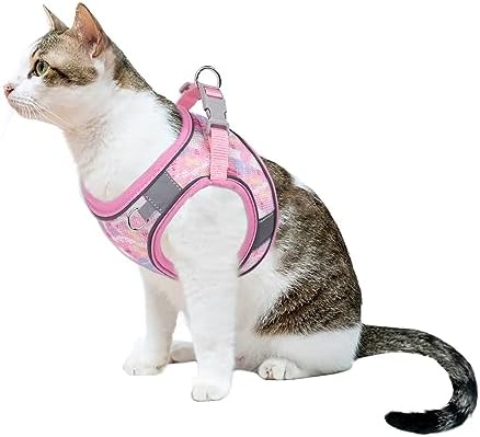 Step in Mesh Dog Harness and Leash Set - Image 6
